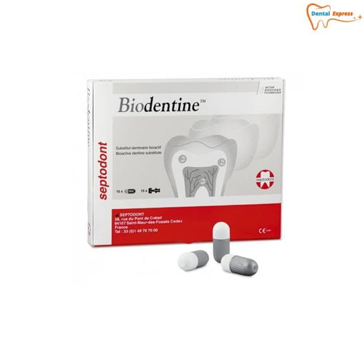 BioDentine Septodont - Vật liệu sinh học thay thế ngà