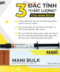 Mani Bulk Composite Lỏng Trám Khối